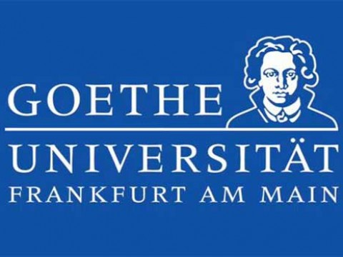 Searching for excellent candidates from abroad for Goethe's Master Scholarship Programmes
