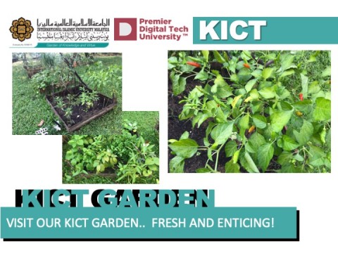 KICT garden 2019