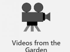 Videos from thr Garden