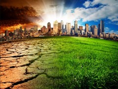 Climate change – to act or not to act