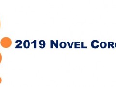 2019 Novel Coronavirus Outbreak