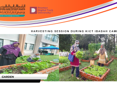 Harvesting Session During KICT Ibadah Camp