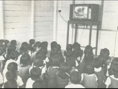 Television may be the equaliser that education needs