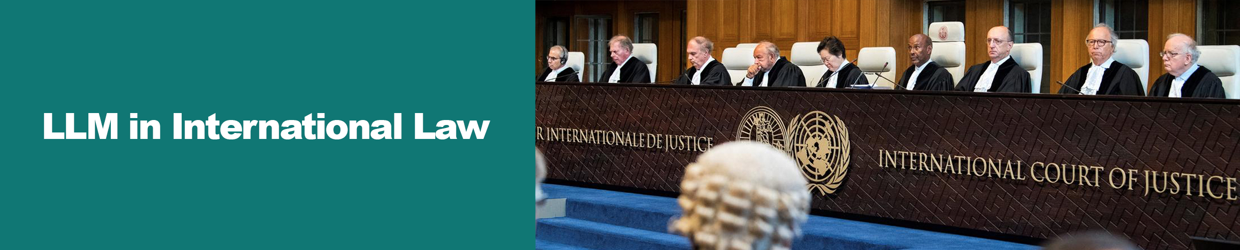Master of Laws (LLM) in International Law